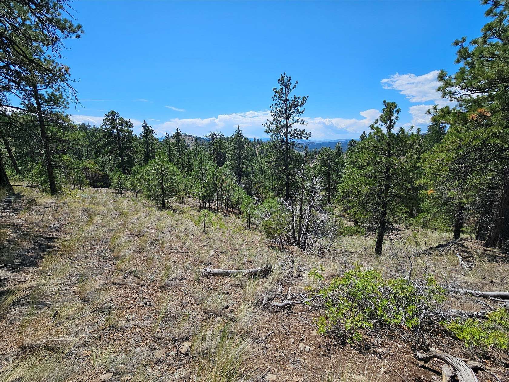 16.2 Acres of Recreational Land for Sale in Cascade, Montana