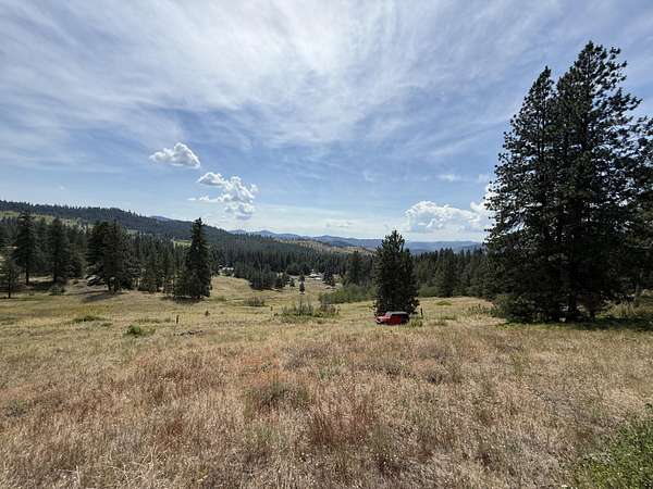 20 Acres of Agricultural Land for Sale in Republic, Washington