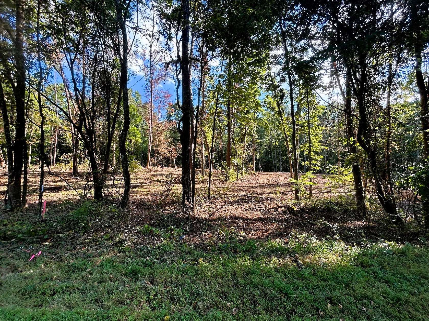 5.5 Acres of Residential Land for Sale in Ten Mile, Tennessee
