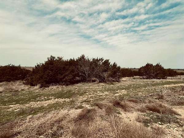 2 Acres of Residential Land for Sale in Cresson, Texas
