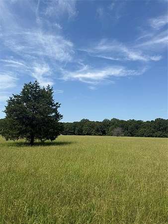 20 Acres of Recreational Land for Sale in Clarksville, Texas
