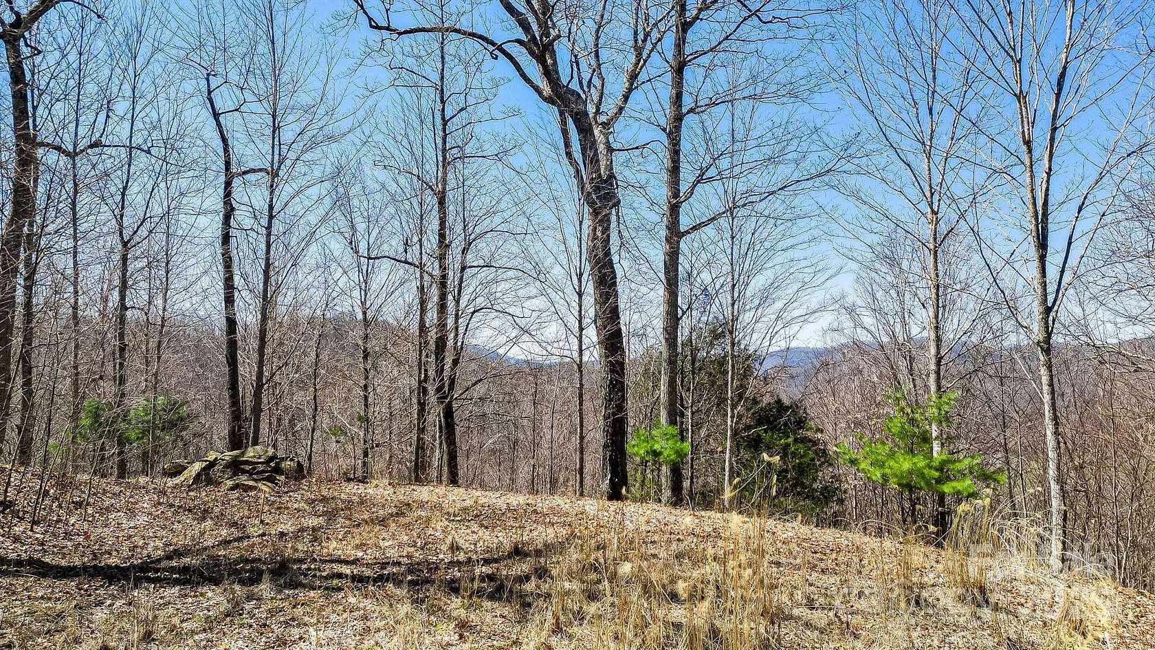 12.5 Acres of Recreational Land for Sale in Mars Hill, North Carolina
