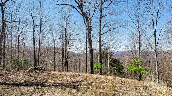 12.5 Acres of Recreational Land for Sale in Mars Hill, North Carolina