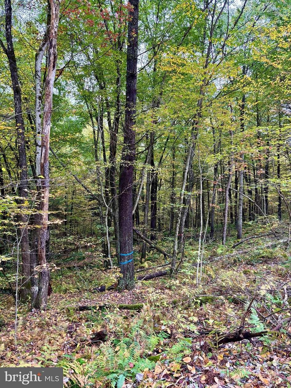 25 Acres of Recreational Land for Sale in Beech Creek, Pennsylvania