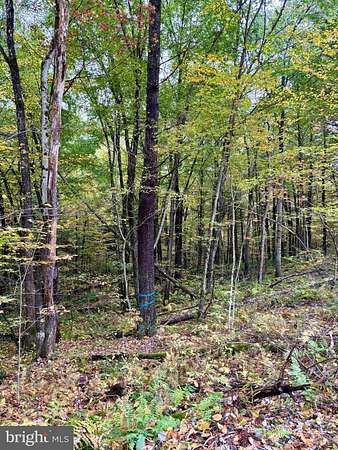 25 Acres of Recreational Land for Sale in Beech Creek, Pennsylvania