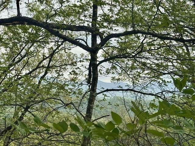 1 Acre of Land for Sale in Sylva, North Carolina