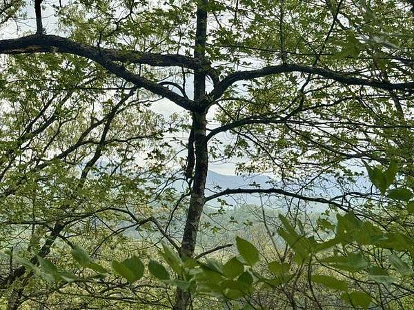 1 Acre of Land for Sale in Sylva, North Carolina