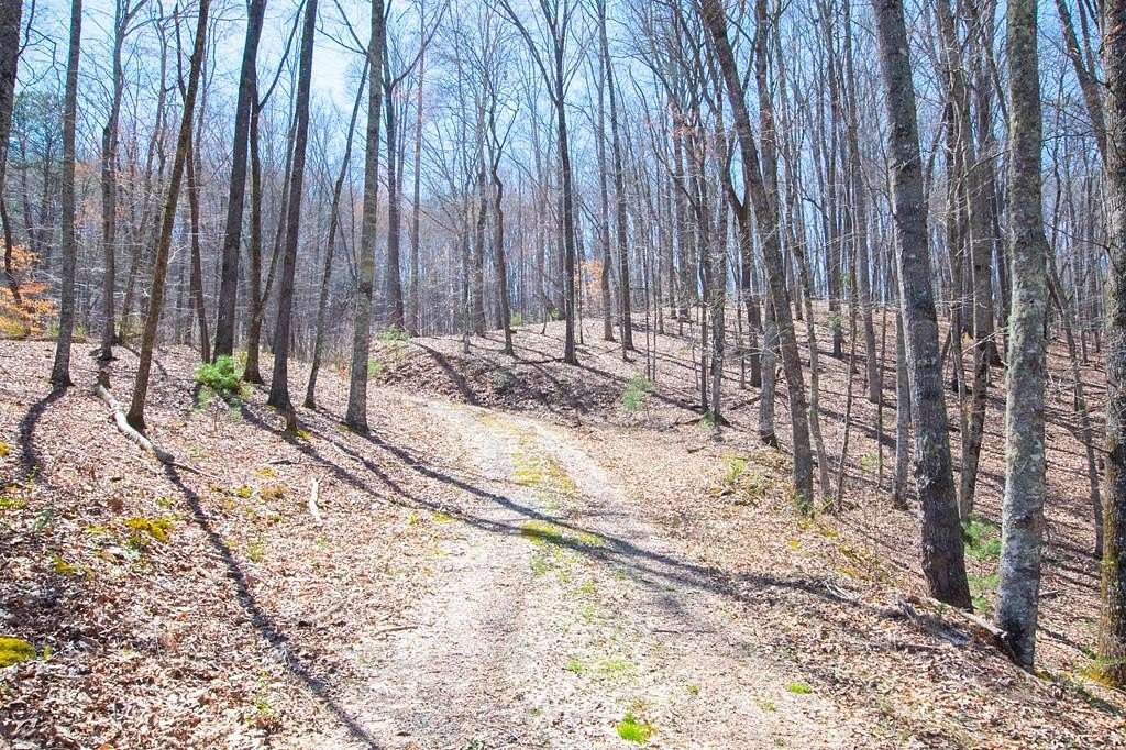 11 Acres of Land for Sale in Franklin, North Carolina