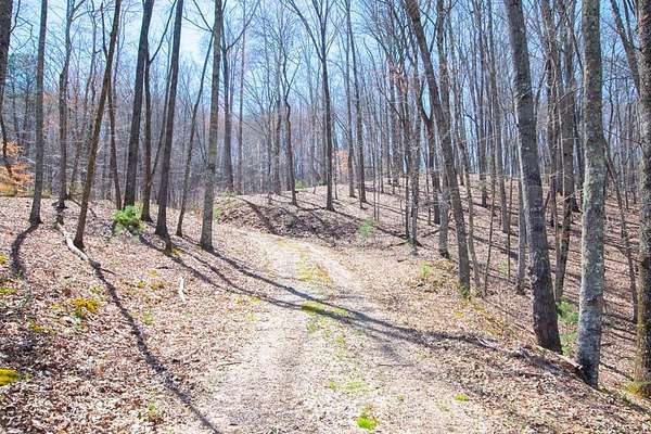 11 Acres of Land for Sale in Franklin, North Carolina