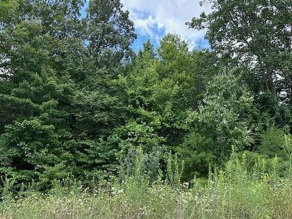 5 Acres of Residential Land for Sale in Wilder, Tennessee