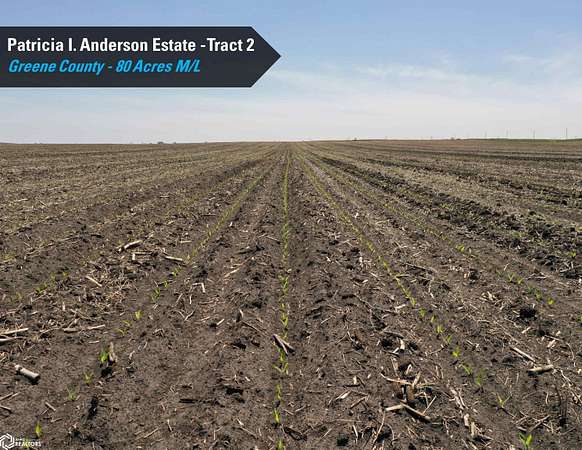 80 Acres of Recreational Land & Farm for Auction in Rippey, Iowa