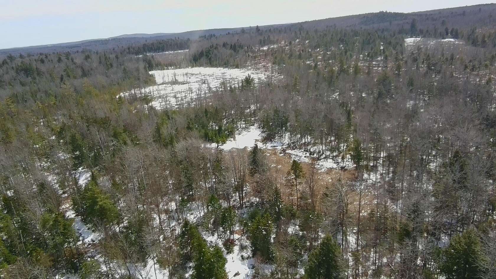 104 Acres of Recreational & Residential Land for Sale in Parkman, Maine