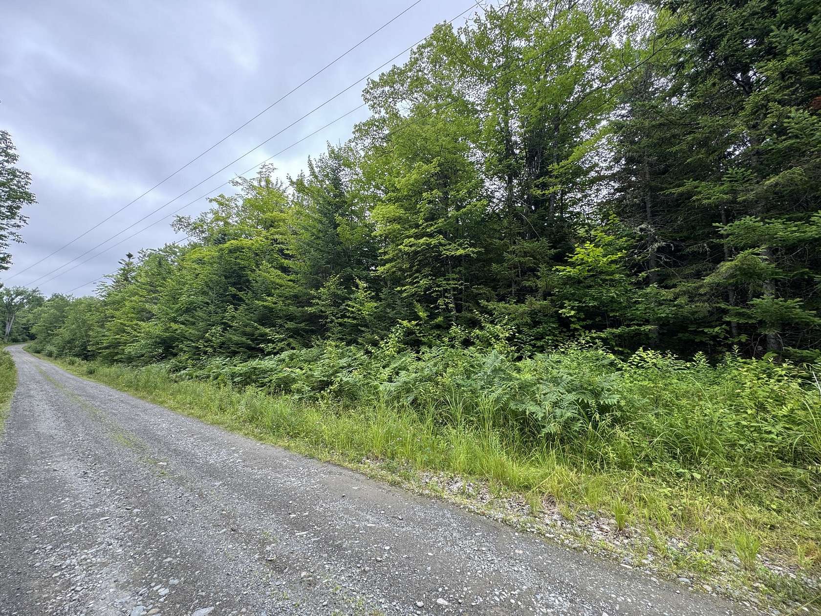 109 Acres of Recreational & Residential Land for Sale in Parkman, Maine