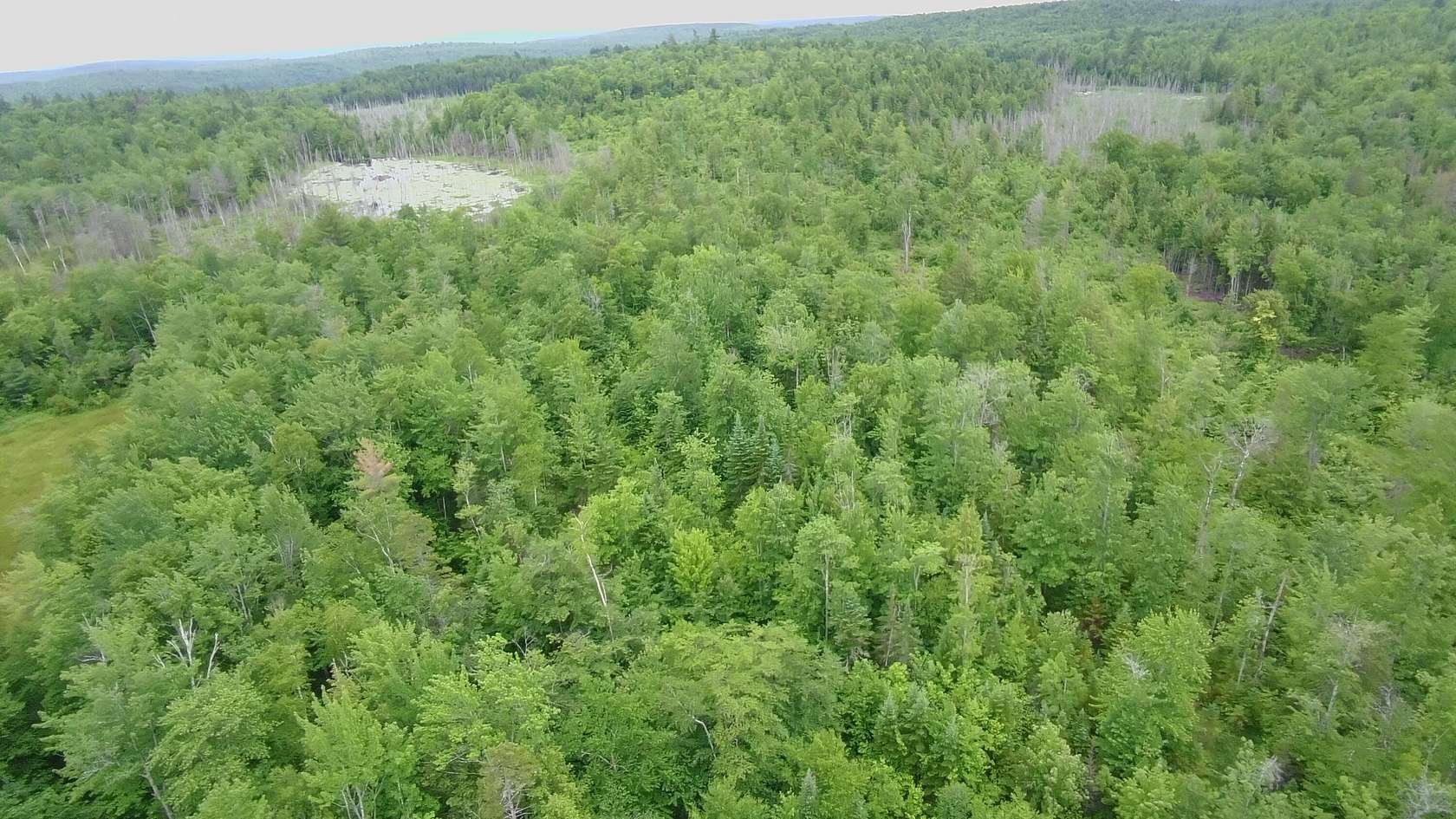 104 Acres of Recreational & Residential Land for Sale in Parkman, Maine