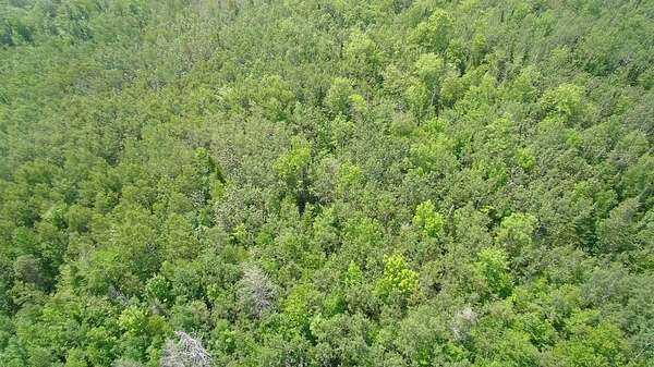 104 Acres of Recreational Land for Sale in Parkman, Maine