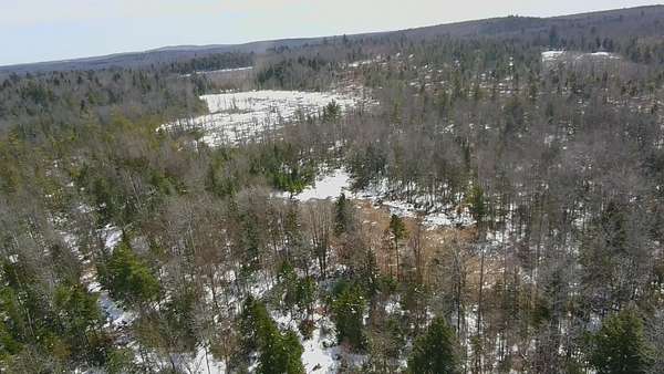 104 Acres of Recreational & Residential Land for Sale in Parkman, Maine