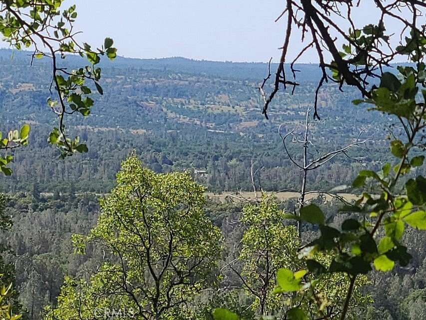 92.6 Acres of Land for Sale in Manton, California