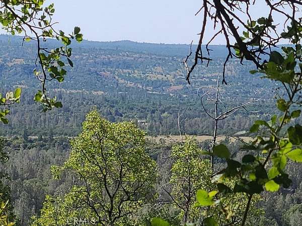 92.6 Acres of Land for Sale in Manton, California