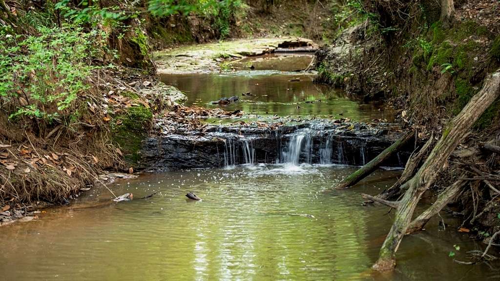 295 Acres of Recreational Land & Farm for Sale in Harrisonburg, Louisiana