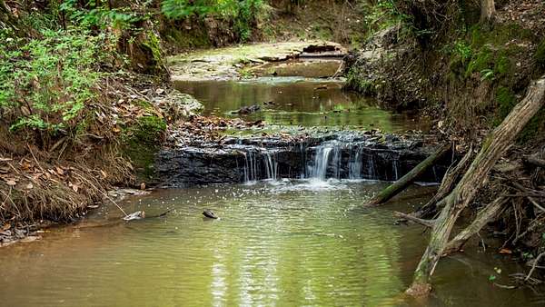 295 Acres of Recreational Land & Farm for Sale in Harrisonburg, Louisiana
