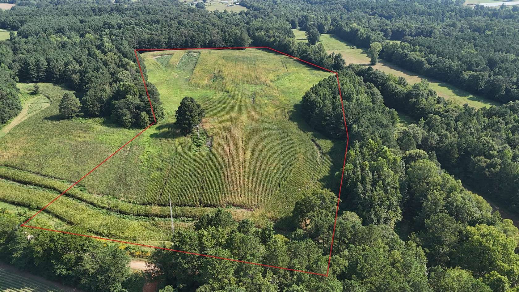 19.4 Acres of Recreational Land & Farm for Sale in Moulton, Alabama