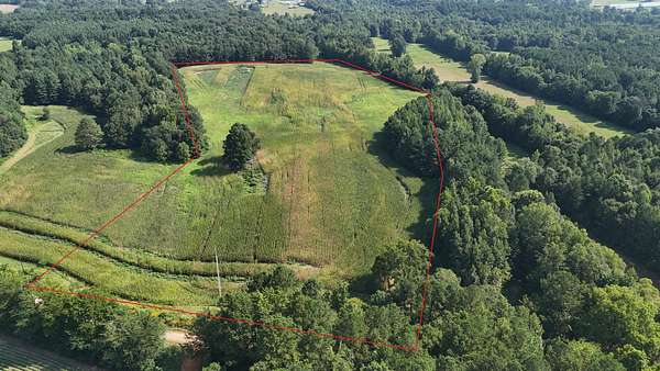 19.4 Acres of Recreational Land & Farm for Sale in Moulton, Alabama