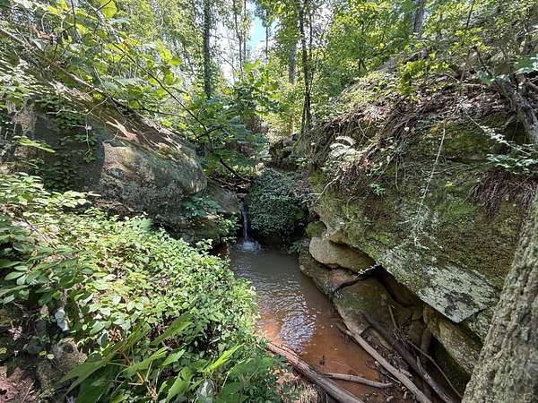 54 Acres of Recreational Land & Farm for Sale in Haleyville, Alabama