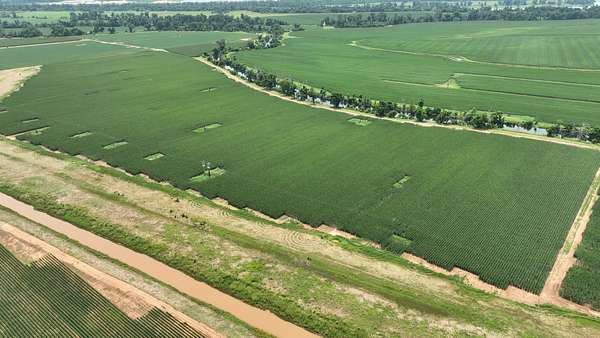 547 Acres of Agricultural Land for Sale in Gilliam, Louisiana