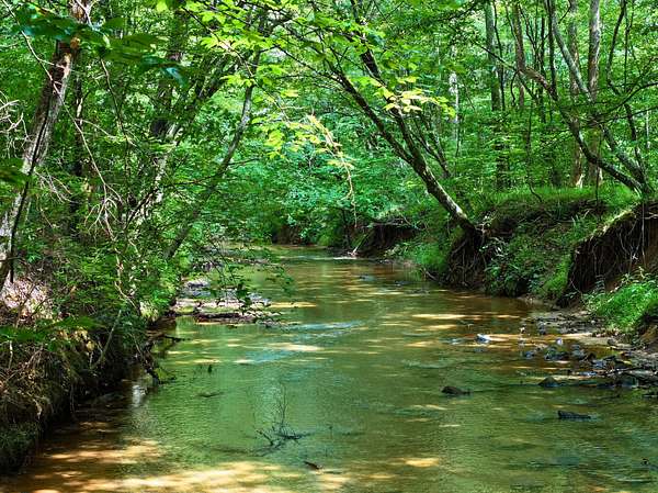 59.1 Acres of Recreational Land for Sale in Bassett, Virginia