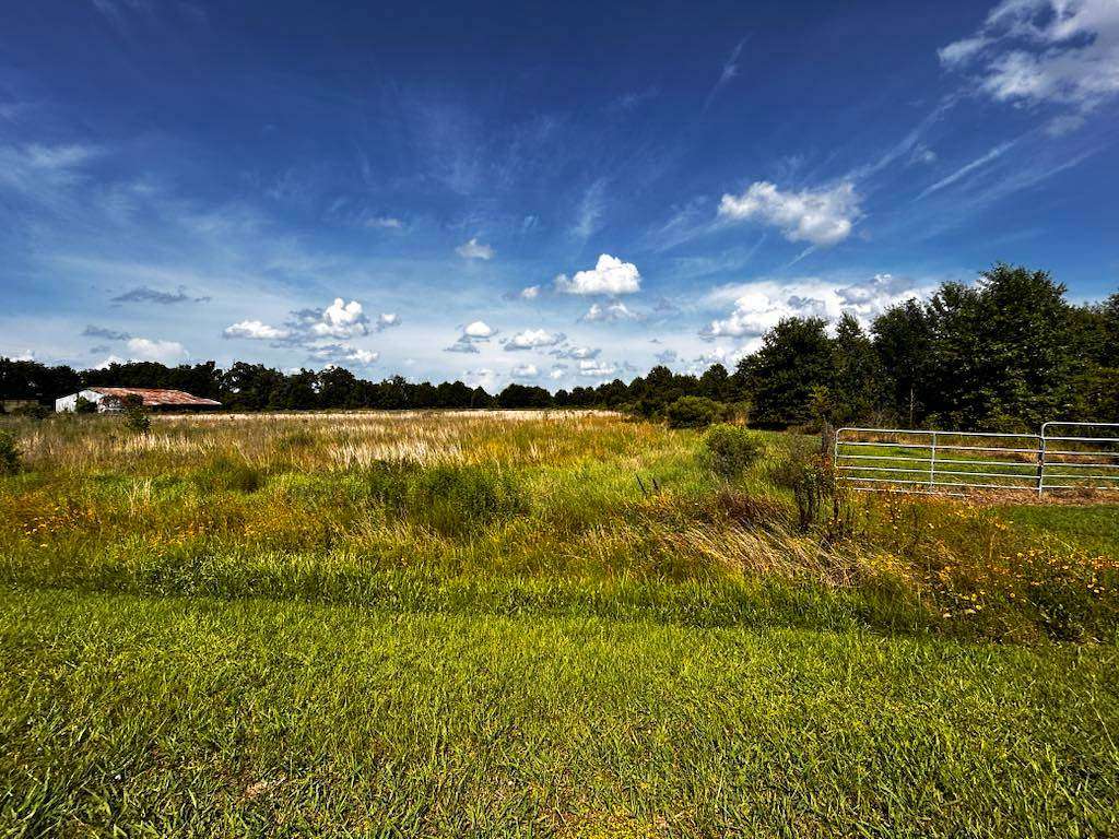 6.6 Acres of Land for Sale in Rayville, Louisiana