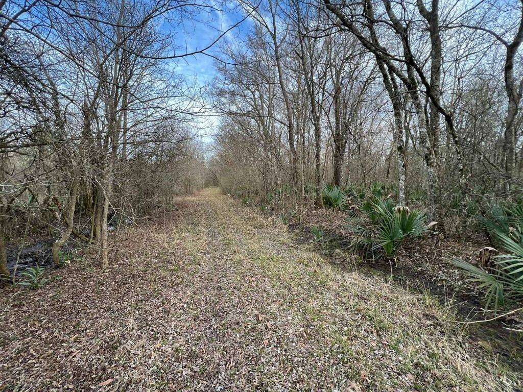 29 Acres of Land for Sale in Oak Ridge, Louisiana