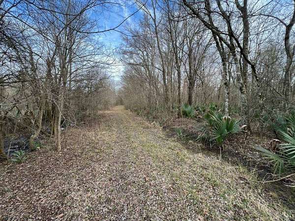 29 Acres of Recreational Land & Farm for Sale in Oak Ridge, Louisiana