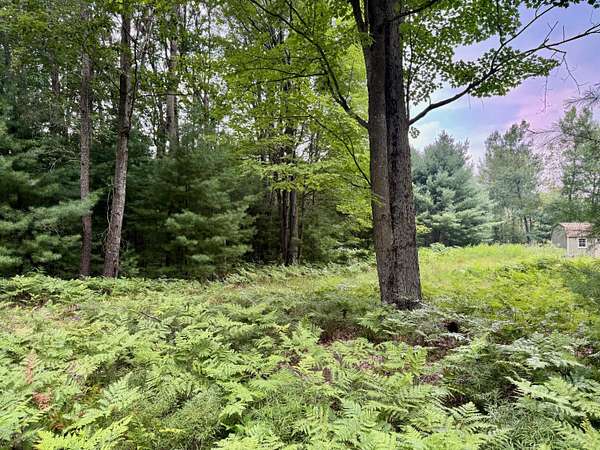 0.71 Acres of Residential Land for Sale in Canadian Lakes, Michigan