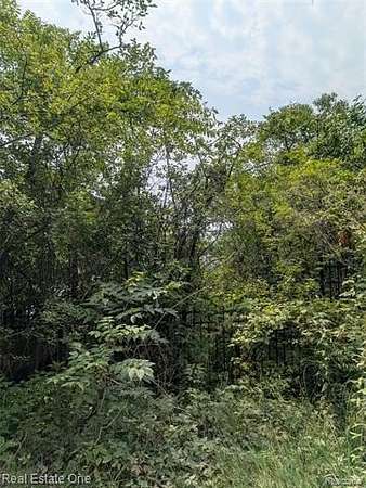 2 Acres of Land for Sale in Bloomfield, Michigan