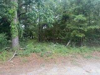 0.29 Acres of Land for Sale in Manning, South Carolina