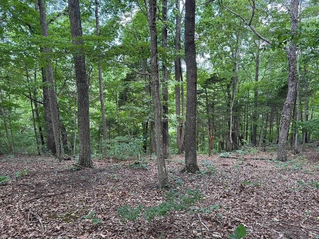 Land for Sale in Allons, Tennessee
