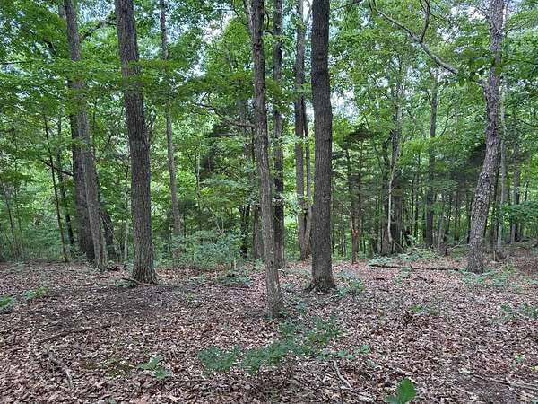 Land for Sale in Allons, Tennessee