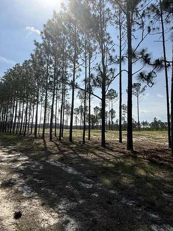 13.1 Acres of Land for Sale in Aiken, South Carolina