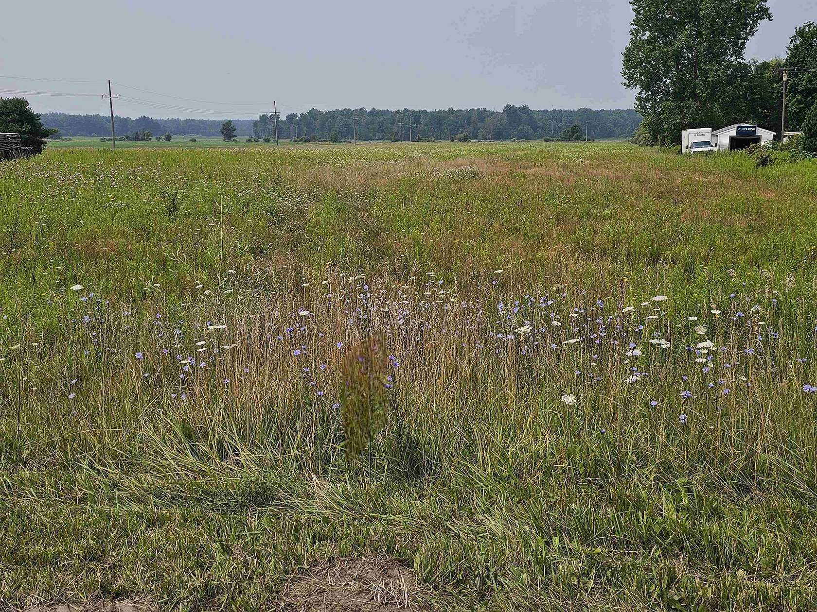 7.3 Acres of Residential Land for Sale in Carsonville, Michigan