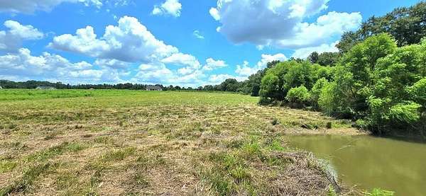 3.35 Acres of Residential Land for Sale in Slocomb, Alabama
