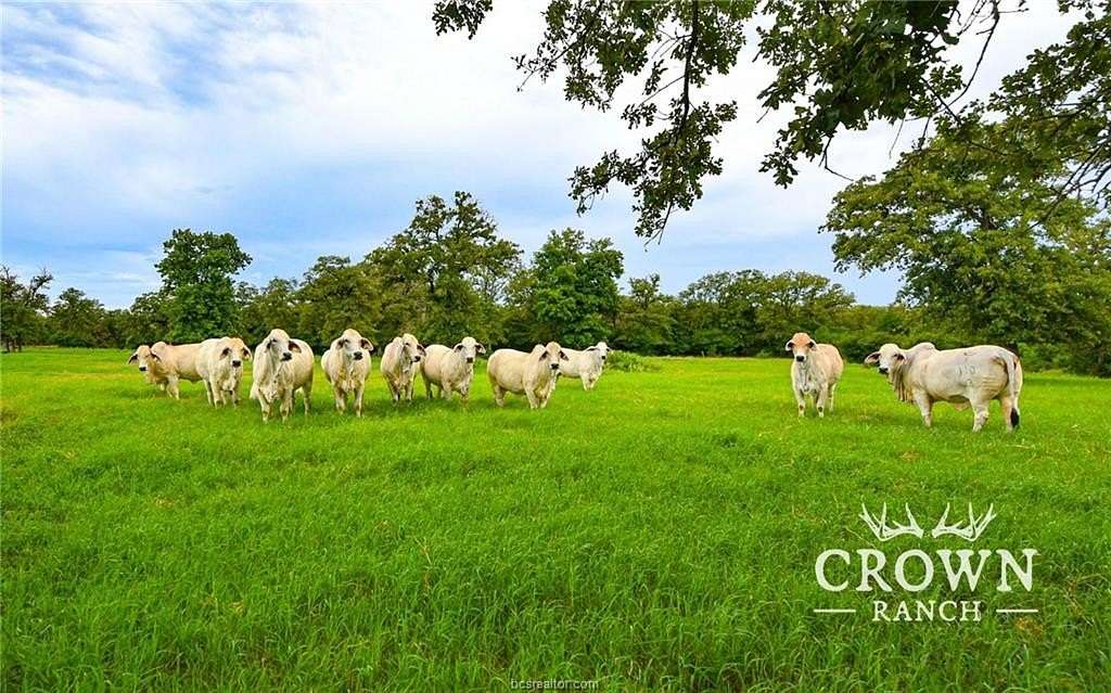657 Acres of Recreational Land & Farm for Sale in Caldwell, Texas