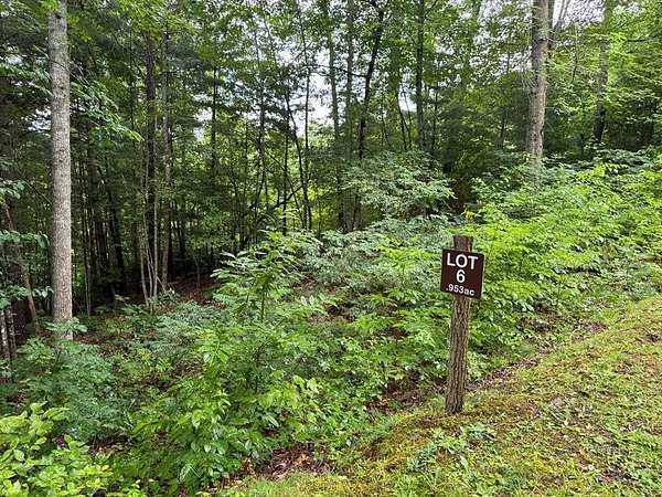0.95 Acres of Residential Land for Sale in Sylva, North Carolina