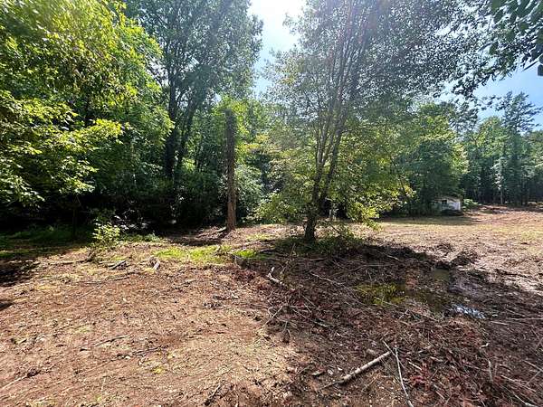 10 Acres of Residential Land for Sale in Ten Mile, Tennessee