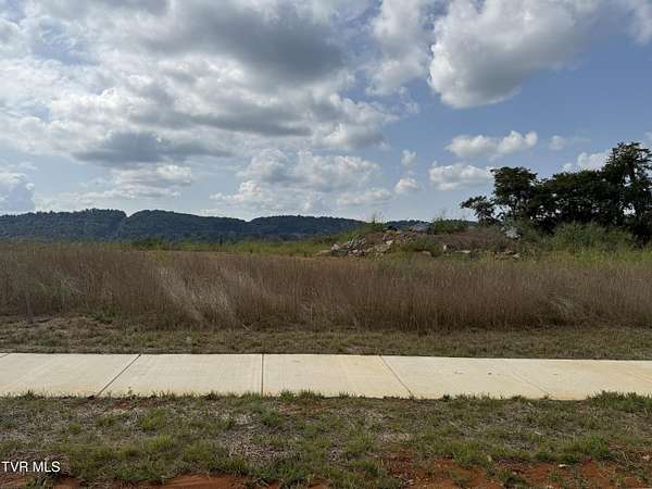 0.49 Acres of Residential Land for Sale in Johnson City, Tennessee