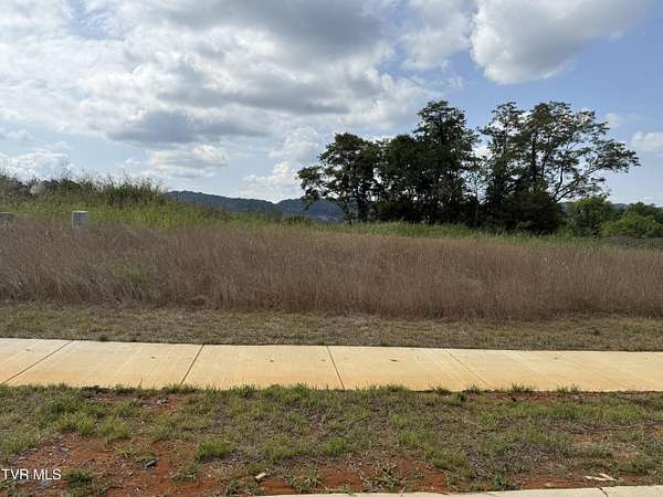 0.37 Acres of Residential Land for Sale in Johnson City, Tennessee