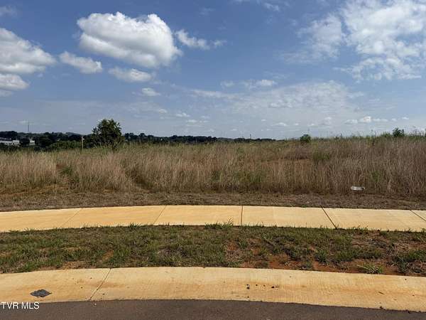 0.48 Acres of Residential Land for Sale in Johnson City, Tennessee