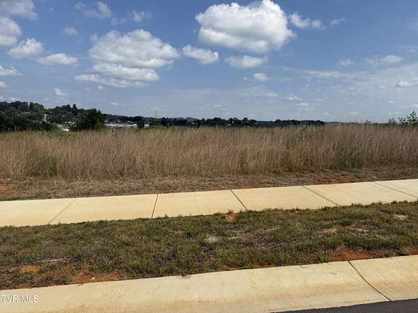 0.4 Acres of Residential Land for Sale in Johnson City, Tennessee