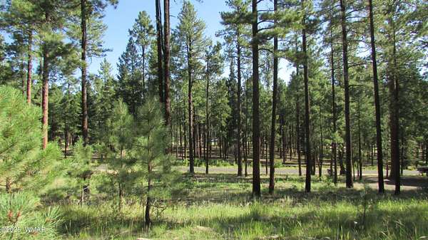 0.41 Acres of Residential Land for Sale in Alpine, Arizona