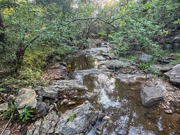 49.5 Acres of Recreational Land & Farm for Sale in Poughkeepsie, Arkansas