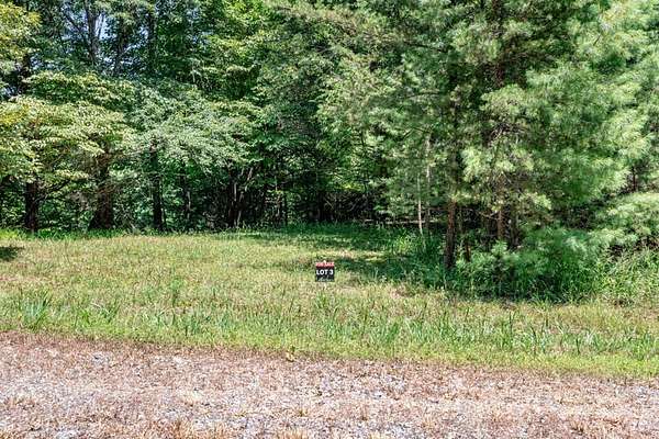 3.15 Acres of Land for Sale in Mineral Bluff, Georgia